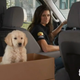 Image for article titled Most Controversial Super Bowl Commercials